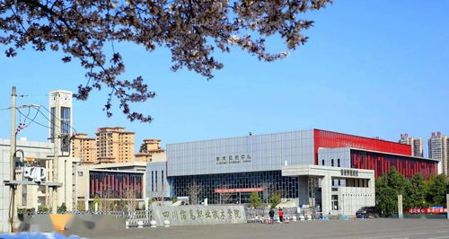 单招宣传季 四川省唯一一所电子信息类 四川信息职业技术学院2021年单独招生章程