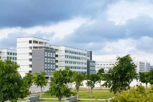 教育部紧急通知 全国300多所野鸡大学曝光 厦门正规高校名单在这里,报志愿要看准了