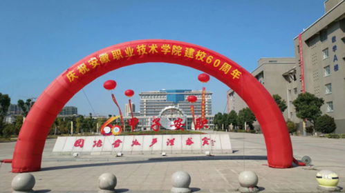 优秀志愿者特刊 十一 安徽职业技术学院