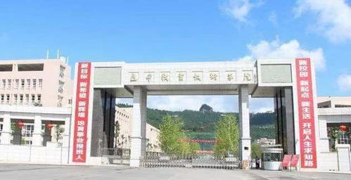 巴中职业技术学院2020年单招计划发布，四川学子享每年最高12500元补助