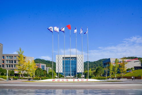 全国第一届职业技能大赛落幕，四川职业技术学院未来发展潜力巨大