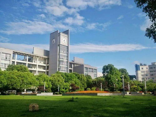 招生动态丨温州科技职业学院2021年单独考试招生录取工作顺利完成