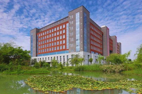 教育部公示 8所 新大学 来了