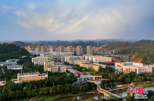 四川职业技术学院物流与供应链学院学生为何成为就业市场“抢手货”？